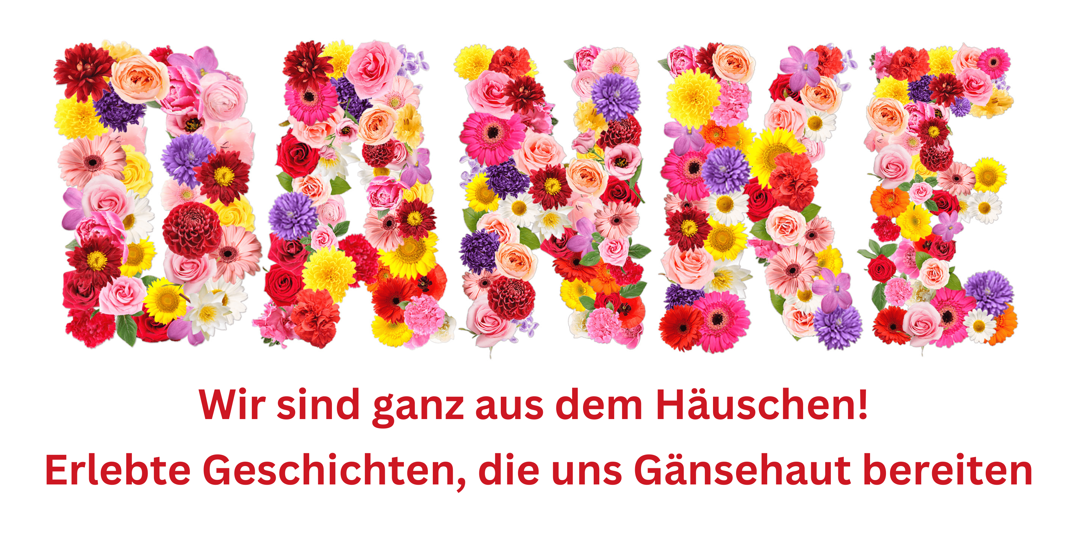 Danke - Banner.png